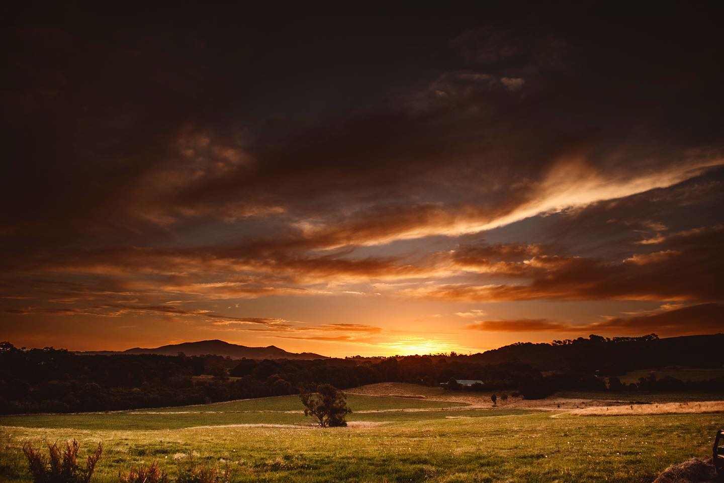 Stunning sunset over the lush fields of regional Australia, showcasing the natural beauty for cider production.
