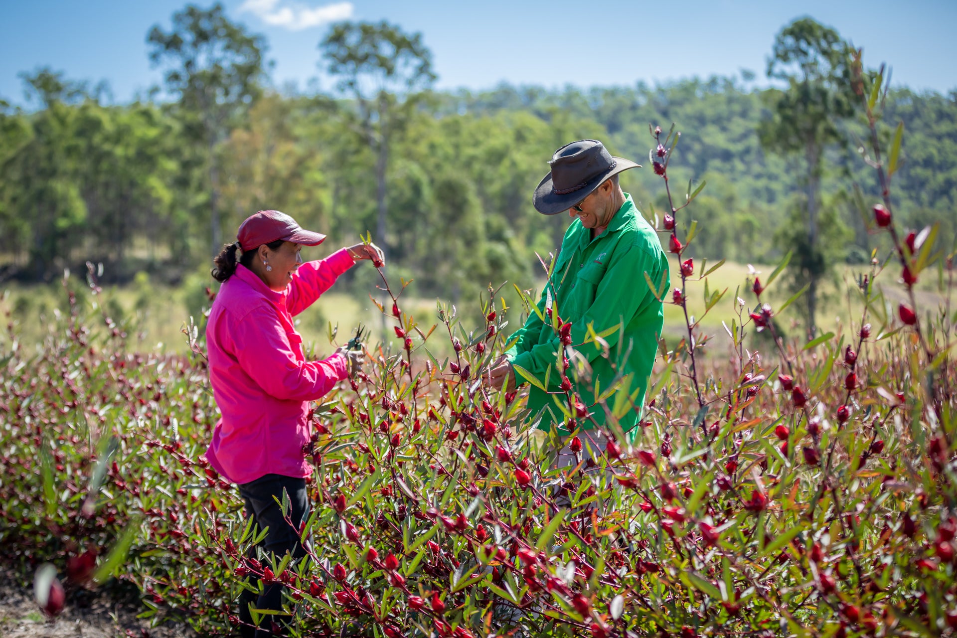 Corporate Gifting and ESG Principles: Choosing Gifts That Give Back