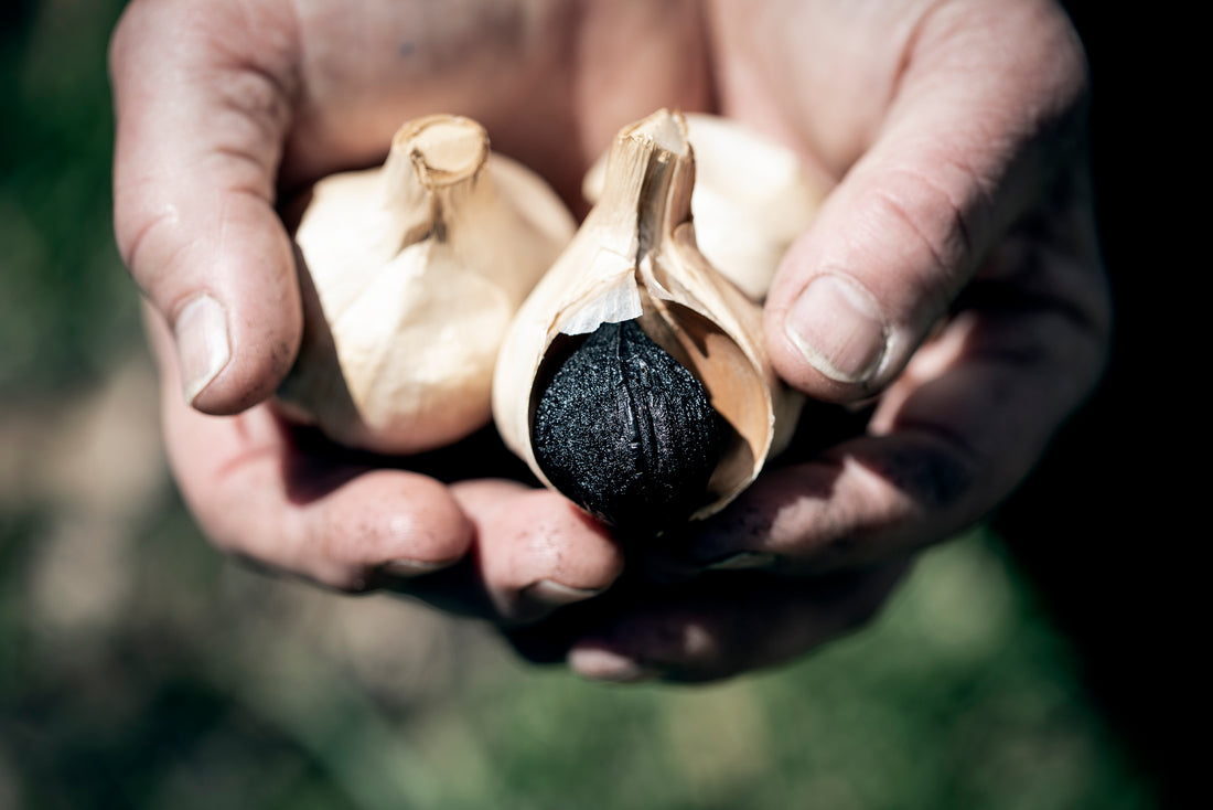 The Culinary Delights of Black Garlic: A Unique Experience